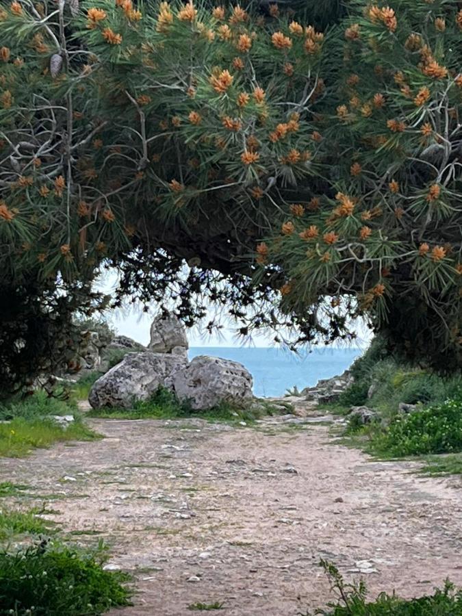 Colibri B&B Sciacca Buitenkant foto